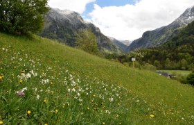 Seehof show meadow near Lunz am See, &copy; David Bock