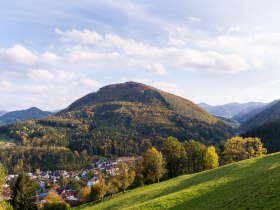 Buchenberg_Aussicht_2_(c)_Stadt_Waidhofen_Ybbs, &copy; Stadt Waidhofen an der Ybbs