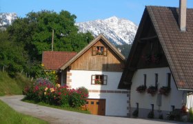 A vacation home with flowers and a mountain in the background.