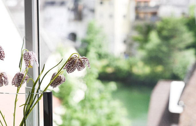 Apartment Zum Ybbsturm, &copy; Apartment Zum Ybbsturm