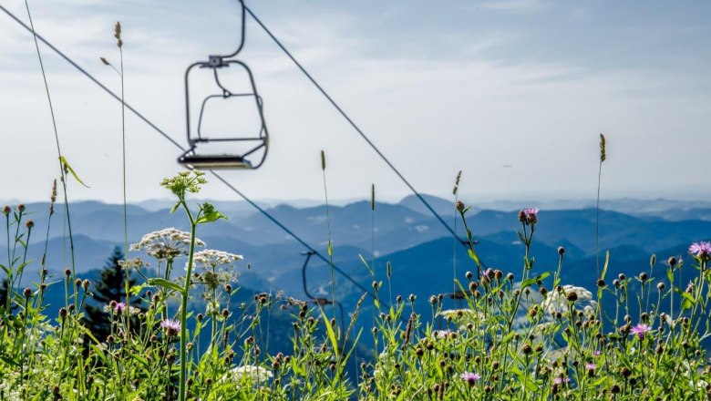 Travel up and down the mountain with the cable car, &copy; Ludwig Fahrnberger