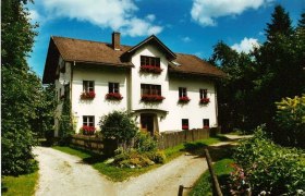 Ein traditionelles wei&szlig;es Haus mit roten Fensterl&auml;den und Blumenk&auml;sten, umgeben von B&auml;umen und einem Garten, unter blauem Himmel.
