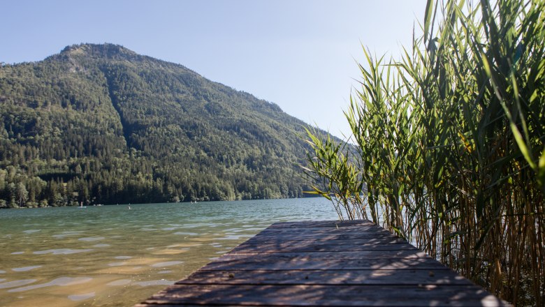 Ein Holzsteg f&uuml;hrt zu einem See mit Schilf am Ufer und einem bewaldeten Berg im Hintergrund.