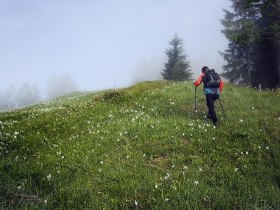 Opponitz Hiking, &copy; Rudi Kefer