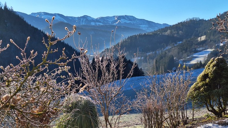 Poidlbauer, &copy; Poidlbauer