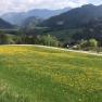 Fr&uuml;hling in G&ouml;stling, &copy; Monika Stock