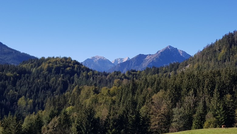 Summer, © Gasthof Stiegenwirt