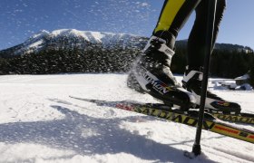 Langlaufen auf der Trainingswiese, &copy; schwarz-koenig.at