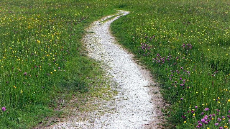 Path, © pixabay.com