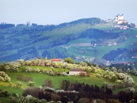 View of Sonntagberg, &copy; weinfranz.at