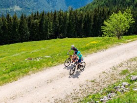 MTB_Enjoyment, &copy; Mostviertel