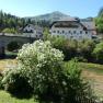 View from the vacation home, &copy; Margarete Tazreiter