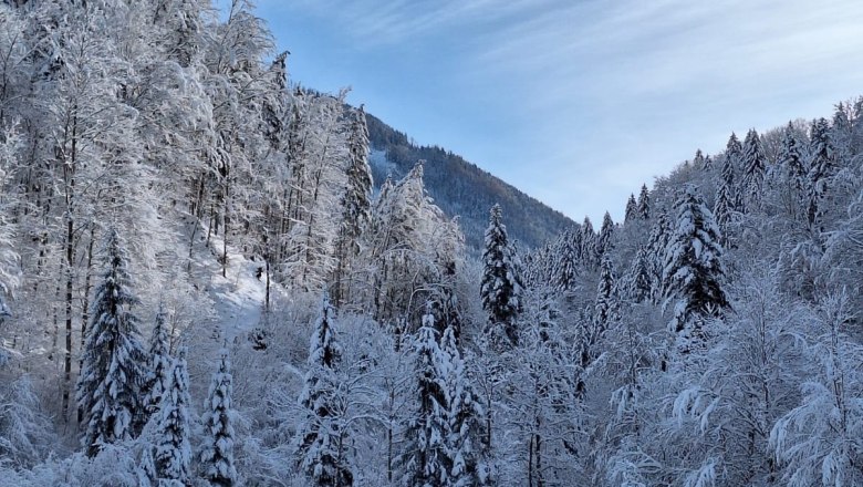 ferienhof-schelchen-im-winter-10, © Schoisswohl