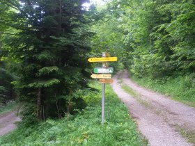 Fork between the Gmoa circuit and the Steingrabenkreuz circuit, &copy; TB Gaming
