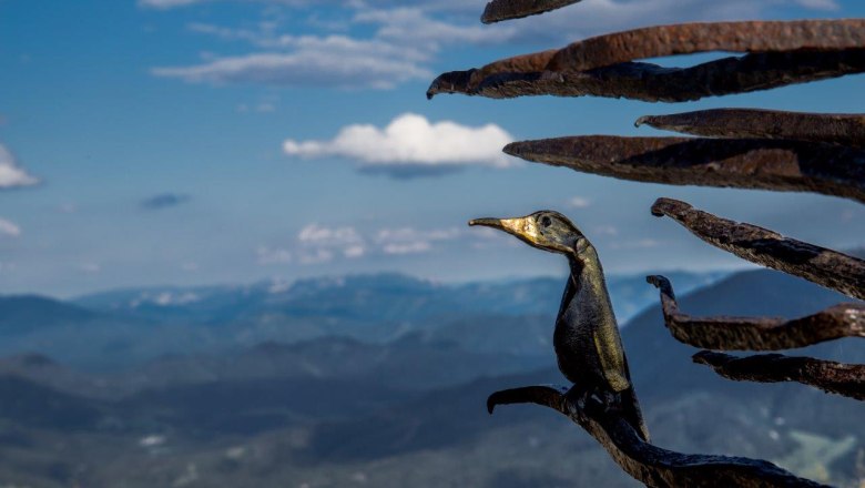 Iron sculpture on the way to the &Ouml;tscher summit, &copy; Ludwig Fahrnberger