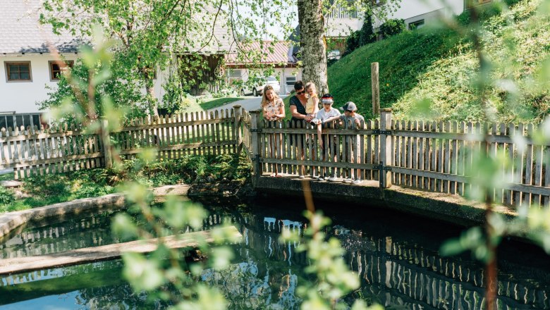 Ferienhaus Lenzau Sommer (c)Familie Heigl (8), © Familie Heigl