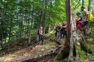 Dürrenstein-Lassingtal Wilderness Area, © Ingeborg Zeh