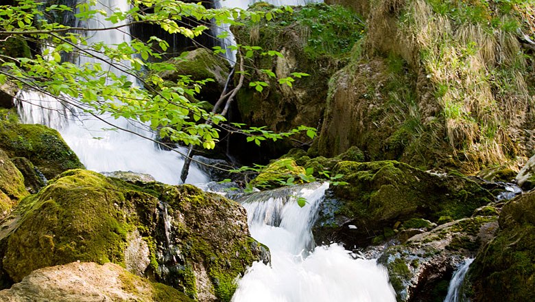 Ein Wasserfall fließt über moosbedeckte Felsen, umgeben von grüner Vegetation.