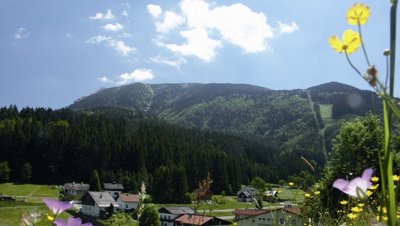 Mountain landscape with flower meadow and village in the foreground, forest and mountain in the background.