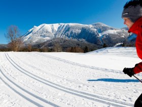 Cross-country skiing in Lackenhof, &copy; Mostviertel