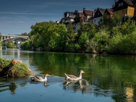 Ybbs River Trail, &copy; Stadt Waidhofen an der Ybbs