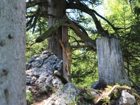 Summit cross on the Leoferer Stein, &copy; Ewald Wachter