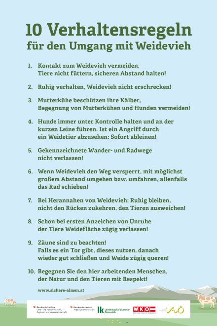 Verhalten bei Weidevieh