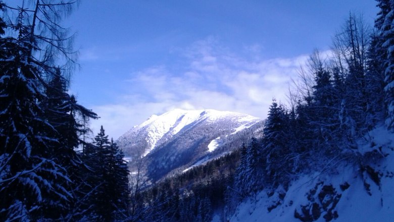 View vacation apartment Bernreiter, &copy; Fam. Bernreiter