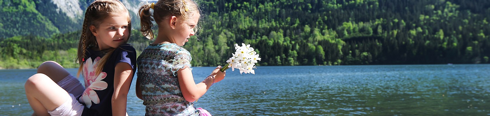 Daffodil bloom in Lunz am See, © weinfranz.at