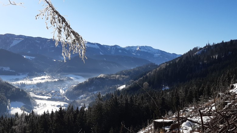 Poidlbauer, &copy; Poidlbauer