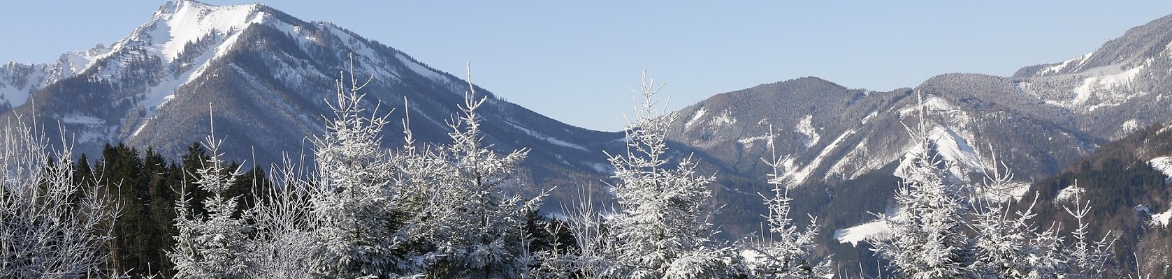 K&ouml;nigsberg, &copy; schwarz-koenig.at