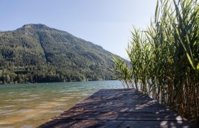 Ausblick auf den Lunzer See, © schwarz-koenig.at