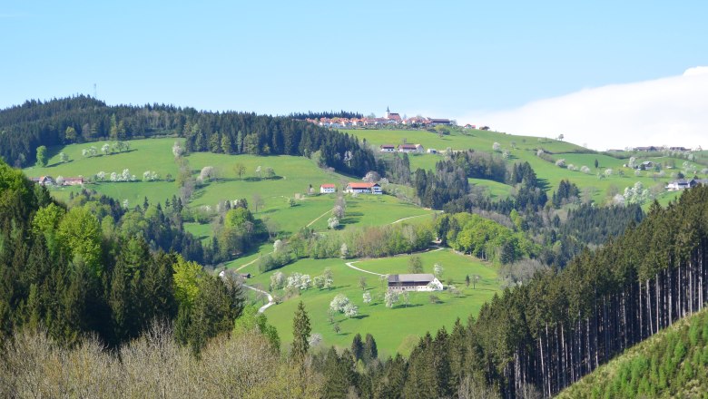 Himbrechts&ouml;d, &copy; Himbrechts&ouml;d