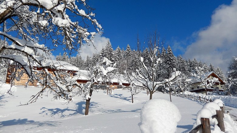 Biobauernhof Poidlbauer, &copy; Poidlbauer