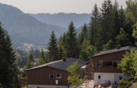 Die Bienenkunde, &copy; Fahrnberger Ludwig