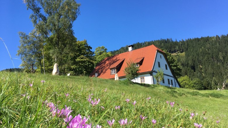 Ferienhaus Hinterbreiteneben, © Johannes Hoyos
