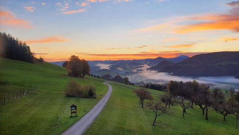 Morgenstimmung, © Melanie Schweighuber