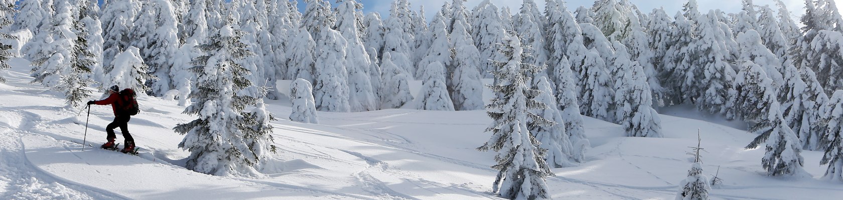 Ski touring at the Ötscher, © Weinfranz.at