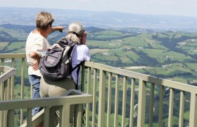 &quot;Prochenberg&quot; mountain, © weinfranz.at