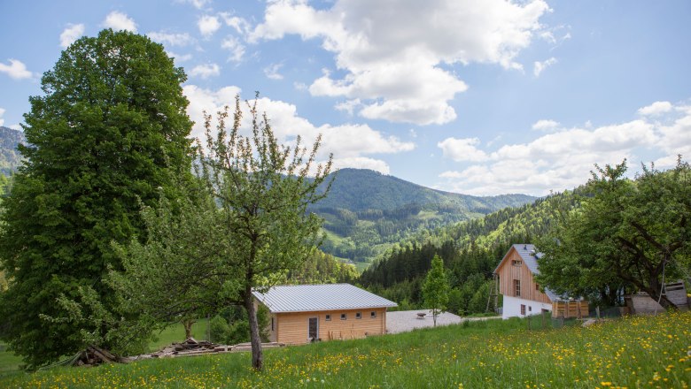 Landschaft mit gr&uuml;nen Wiesen, B&auml;umen und einem Bauernhof vor bewaldeten H&uuml;geln und blauem Himmel.