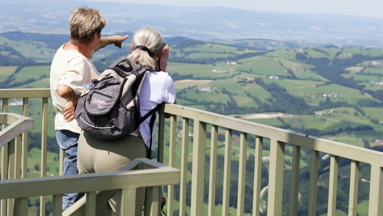 Auf dem Prochenberg, © weinfranz.at