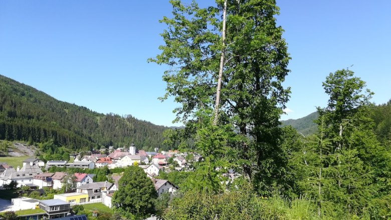 View from the house, © Fam. Bachler