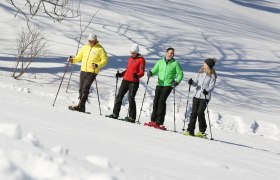 Snowshoeing in Lackenhof, &copy; schwarz-koenig.at