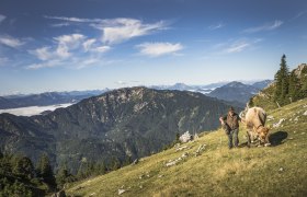 Ybbstalerhütte, © Theo Kust