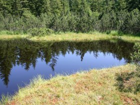 Bog eye, &copy; Tourismusverein G&ouml;stling