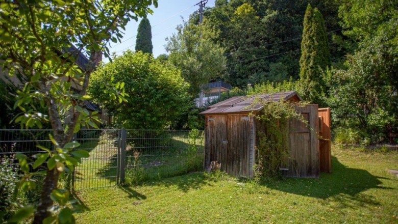 Hundeauslauf, &copy; itjproductions