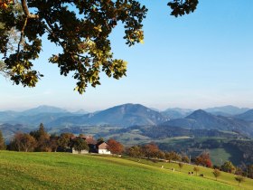 View over the expansive landscape along the panoramic high trail, &copy; weinfranz.at