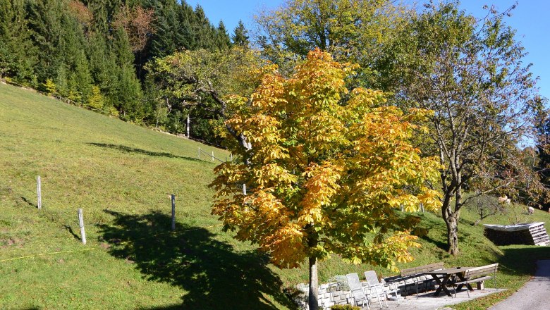 Himbrechts&ouml;d, &copy; Himbrechts&ouml;d