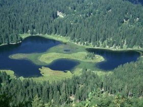 Three Lakes Tour Lunz, &copy; Mostviertel