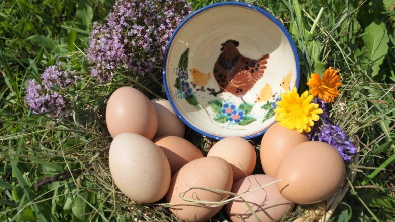 Eggs from the organic farm, © Sabine Baumann